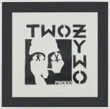 Grupa Twożywo, Pinokio