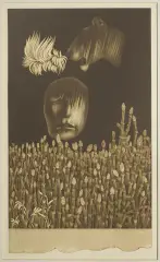 Mieczysław Majewski, Safari, 1977, mezzotinta