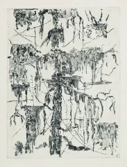 Edmund Piotrowicz, Jodła, 1964, suchoryt, papier kremowy