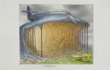 Hangar by Jacek Yerka, 2009, kredki barwne, ołówek, karton, sold Jun 2011
