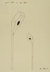 Mirosław Bałka, Bez tytułu, 1999, serigrafia, papier