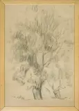 Roman Opałka, Drzewo, 1953, węgiel, papier
