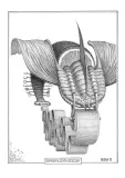 Cały kosmos czyta dzieciom by Jacek Yerka, 2011, ołówek, papier, sold Mar 2011