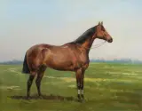Tadeusz Ajdukiewicz, KOŃ WYŚCIGOWY, 1886, olej, deska