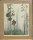 Maciej Nehring, LAS, akwarela, papier