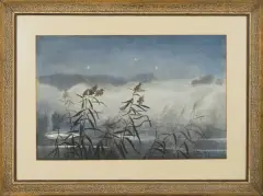 Zofia Stankiewicz, SZUWARY NAD WODĄ, 1926, akwarela, gwasz, papier