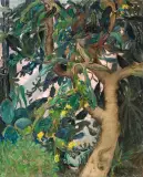 Michalina Krzyżanowska, OPUNCJA W OGRODZIE BOTANICZNYM W WARSZAWIE, 1956, olej, płótno