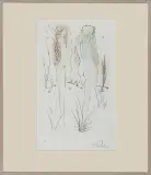 Obróć się, obróć, Szulamitko by Salvador Dalí, 1971, sucha igła, papier, sold Nov 2010