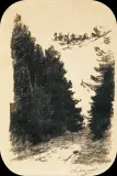 Leon Wyczółkowski, DROGA LEŚNA, litografia, papier