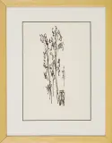 Roman Opałka, Szkic ilustracji, 1957, tusz pióro, papier kremowy