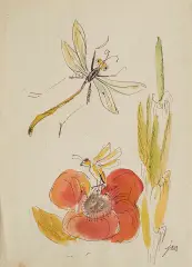 Jan Marcin Szancer, Ilustracja (Ważka i pszczoła), tusz pióro, akwarela, papier