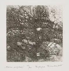 Krystyna Hierowska, Obszar niepokoju, 1985, akwaforta, papier
