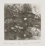 Krystyna Hierowska, Obszar niepokoju, 1985, akwaforta, papier