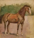 Wacław Pawliszak, GNIADY KONIK