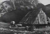 Edward Hartwig, Tatry, Dolina Chochołowska
