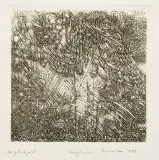 Krystyna Hierowska, W południe, 1986, akwaforta, papier