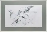 Anna Ewa (Hannah) Miarczyńska, Podmuch skrzydlatych marzeń, 2009, tusz pióro, ołówek, papier
