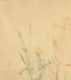 Leon Wyczółkowski, TRAWY, 1928, akwarela, papier