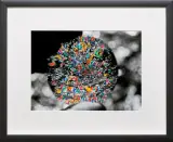 Zygmunt Rytka, Przestrzeń neuronowo-optyczna, 1993-2003, fotografia
