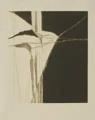 Edmund Piotrowicz, Górski kwiat, 1982, sucha igła, ruletka, papier kremowy