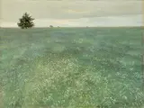 Józef Rapacki, ZIELONY ŁAN