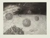 Giennadij Olijnik, Uniesieni wiatrem, 1991, akwaforta barwna, papier kremowy