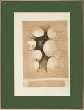 Witold-K, Voltaire