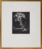 Jacek Gaj, „Auto da fé” Canetti’ego, 1967, akwaforta, mezzotinta, papier kremowy