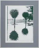 Drzewa by Jan Tarasin, 1990, serigrafia barwna, papier, sold Jul 2008