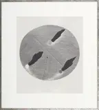 Andrzej Smoczyński, ŚWIATŁA DLA KRYSTYNY W LISTOPADZIE, 1987, wypukłodruk, papier