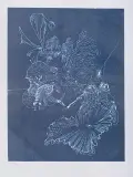 Hans Bellmer, DEMANDE EN MARIAGE, ok. 1970, akwaforta, akwatinta barwna, papier