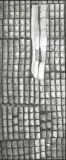 POLA RYŻOWE by Jadwiga Maziarska, ok. 1980, olej, płótno, sold Apr 2008