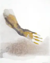 Halina Chrostowska, Z cyklu Ręce, 1975, ołówek, akwarela, papier