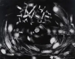 Bronisław Schlabs, Fotogram, 1957-58, fotografia