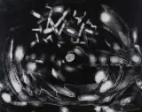 Bronisław Schlabs, Fotogram, 1957-58, fotografia