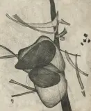 Maria Jarema, FORMY, 1952, monotypia, papier