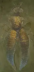 Jan Lebensztejn, REPTILE, 1974, akryl, olej, płótno