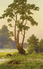 Józef Guranowski, SAMOTNA SOSNA, 1911, akwarela, papier