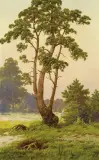 Józef Guranowski, SAMOTNA SOSNA, 1911, akwarela, papier
