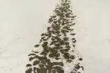 Tomasz Tatarczyk, KROK ZA KROKIEM VI, 1996, olej, płótno