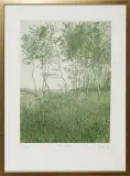 Tadeusz Michał Siara, WIOSNA, 1982, akwaforta jednobarwna (zielona), papier