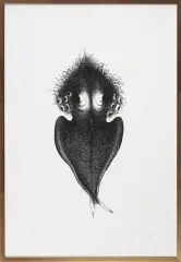 Bożena Wahl, AUTOPORTRET, 1975, litografia, papier