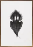 Bożena Wahl, AUTOPORTRET, 1975, litografia, papier