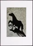 Małgorzata Macharska, POPOŁUDNIE KONIA IV, 2007, fotografia barwna