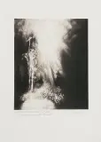 Jacek Walusiak, ILUSTRACJA DO OPOWIADANIA FRANZA KAFKI