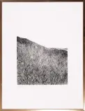Tadeusz Michał Siara, WYSOKIE TRAWY, 1976, akwaforta barwna, papier