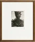 Włodzimierz Kotkowski, MAŁA NATURALNOŚĆ, 1981, mezzotinta