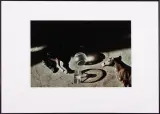 Małgorzata Macharska, POPOŁUDNIE KONIA III, 2007, fotografia barwna