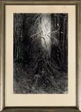 Leon Wyczółkowski, ŚWIERK W SŁOŃCU, 1929, tusz, kreda litogr., akwarel, tech drapana, papie