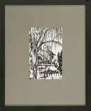 Jacek Barszcz, Wierzba przy murze Cytadeli, 2002, tusz pióro, papier
